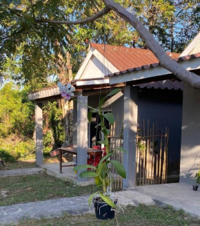 Big Head Bungalows